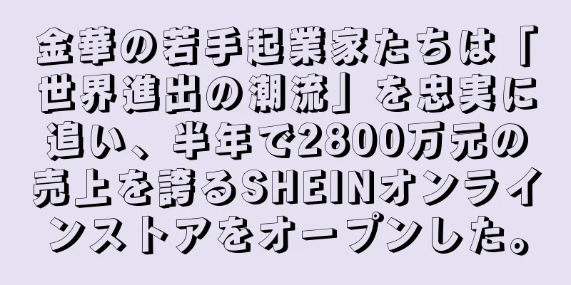 金華の若手起業家たちは「世界進出の潮流」を忠実に追い、半年で2800万元の売上を誇るSHEINオンラインストアをオープンした。