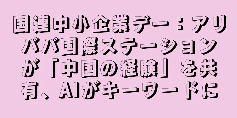 国連中小企業デー：アリババ国際ステーションが「中国の経験」を共有、AIがキーワードに