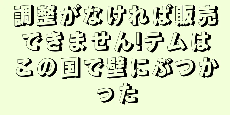 調整がなければ販売できません!テムはこの国で壁にぶつかった