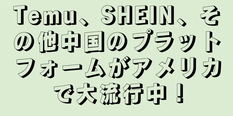 Temu、SHEIN、その他中国のプラットフォームがアメリカで大流行中！