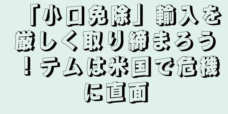 「小口免除」輸入を厳しく取り締まろう！テムは米国で危機に直面