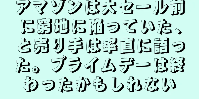 アマゾンは大セール前に窮地に陥っていた、と売り手は率直に語った。プライムデーは終わったかもしれない