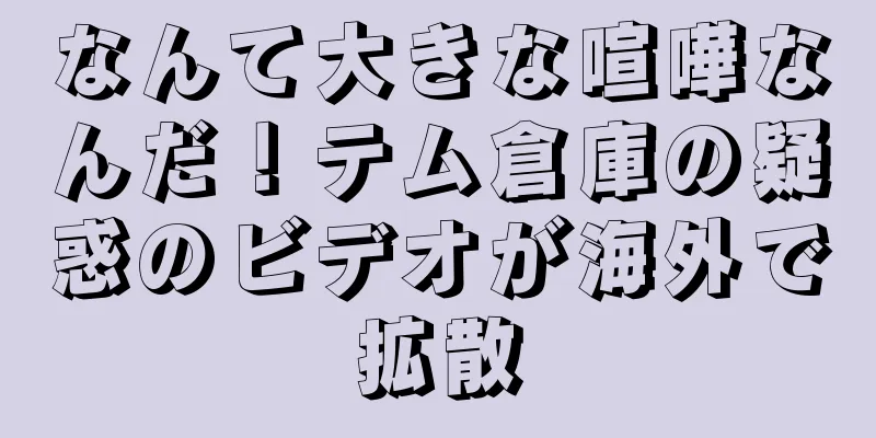 なんて大きな喧嘩なんだ！テム倉庫の疑惑のビデオが海外で拡散