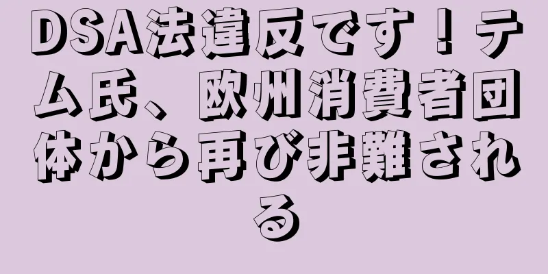 DSA法違反です！テム氏、欧州消費者団体から再び非難される