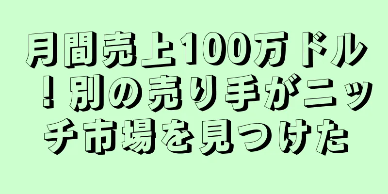 月間売上100万ドル！別の売り手がニッチ市場を見つけた