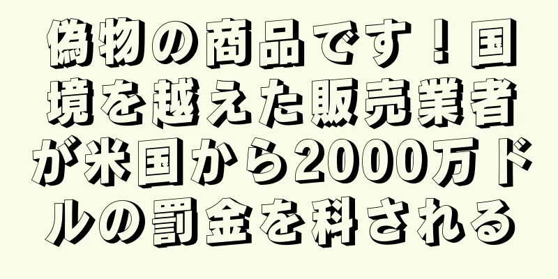 偽物の商品です！国境を越えた販売業者が米国から2000万ドルの罰金を科される