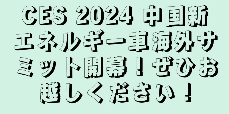 CES 2024 中国新エネルギー車海外サミット開幕！ぜひお越しください！