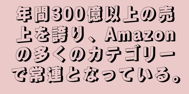 年間300億以上の売上を誇り、Amazonの多くのカテゴリーで常連となっている。