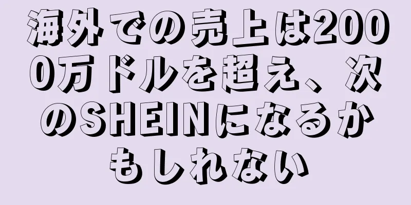 海外での売上は2000万ドルを超え、次のSHEINになるかもしれない