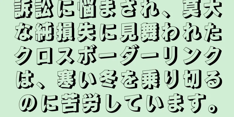 訴訟に悩まされ、莫大な純損失に見舞われたクロスボーダーリンクは、寒い冬を乗り切るのに苦労しています。