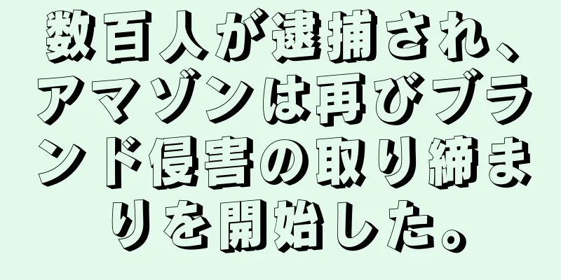 数百人が逮捕され、アマゾンは再びブランド侵害の取り締まりを開始した。