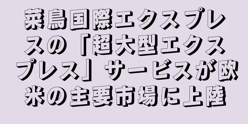 菜鳥国際エクスプレスの「超大型エクスプレス」サービスが欧米の主要市場に上陸