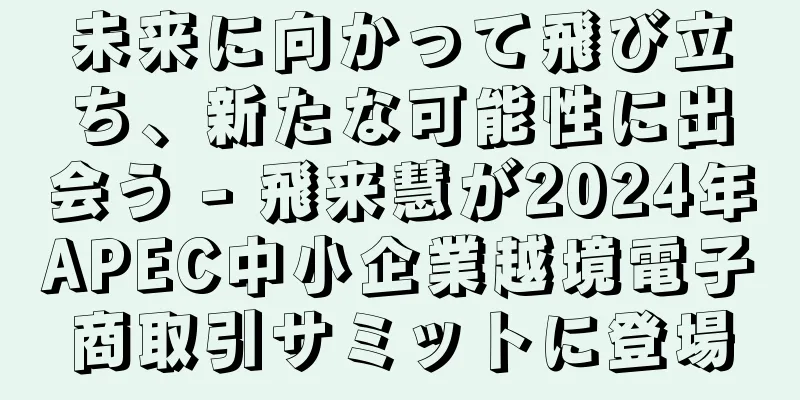未来に向かって飛び立ち、新たな可能性に出会う - 飛来慧が2024年APEC中小企業越境電子商取引サミットに登場