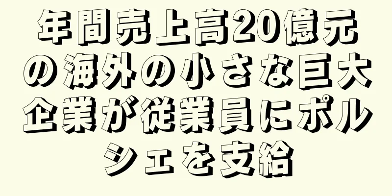 年間売上高20億元の海外の小さな巨大企業が従業員にポルシェを支給