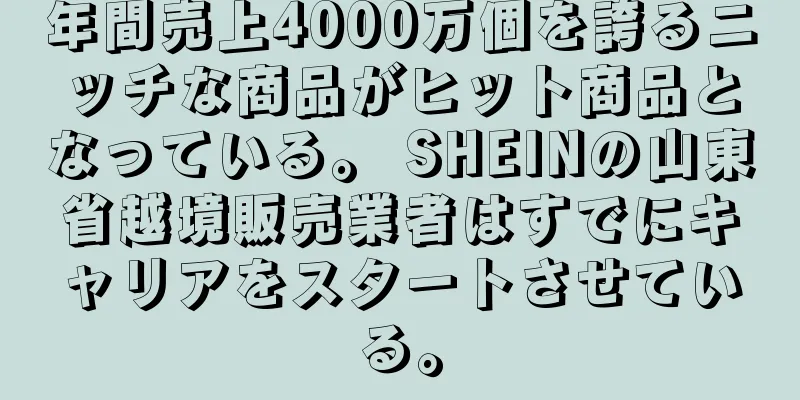 年間売上4000万個を誇るニッチな商品がヒット商品となっている。 SHEINの山東省越境販売業者はすでにキャリアをスタートさせている。