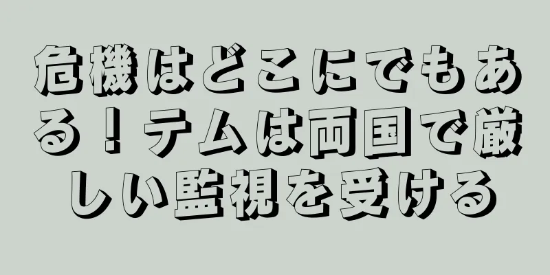 危機はどこにでもある！テムは両国で厳しい監視を受ける