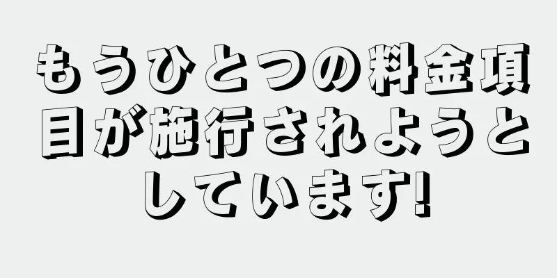 もうひとつの料金項目が施行されようとしています!