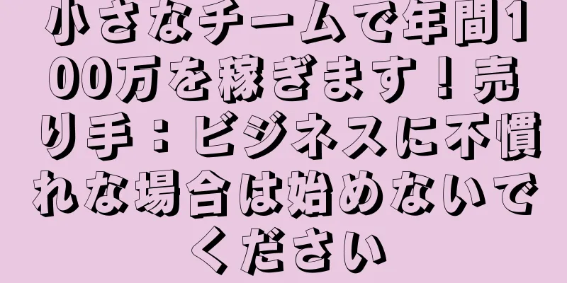 小さなチームで年間100万を稼ぎます！売り手：ビジネスに不慣れな場合は始めないでください