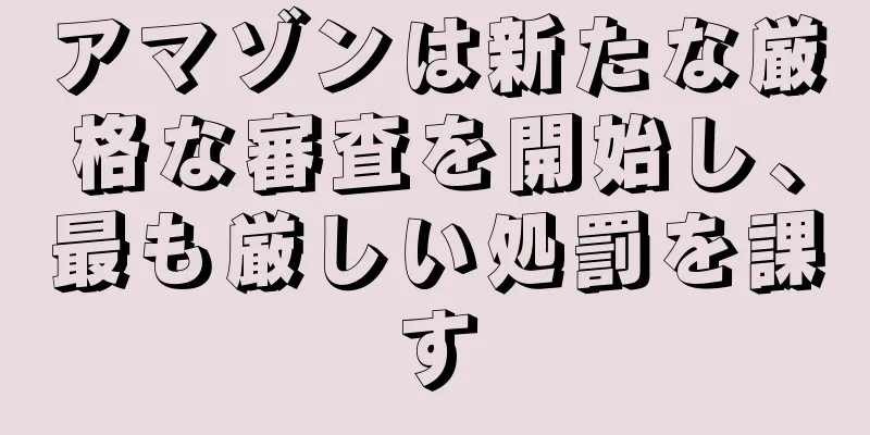 アマゾンは新たな厳格な審査を開始し、最も厳しい処罰を課す