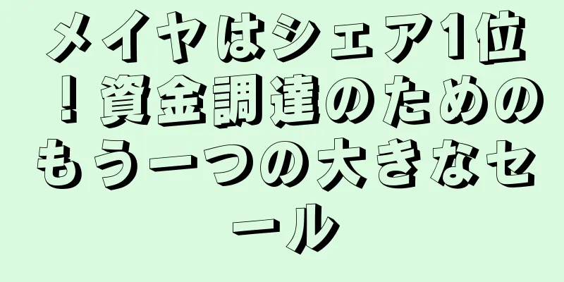 メイヤはシェア1位！資金調達のためのもう一つの大きなセール