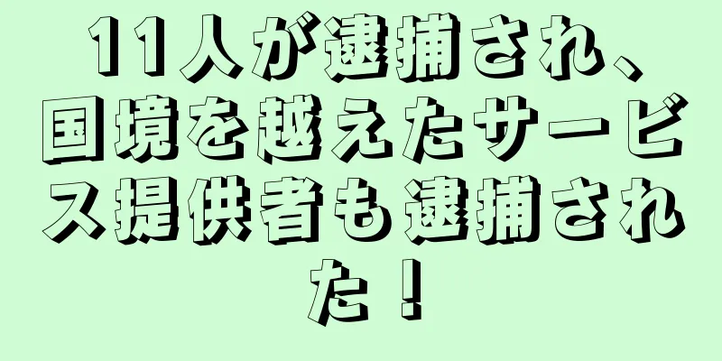 11人が逮捕され、国境を越えたサービス提供者も逮捕された！