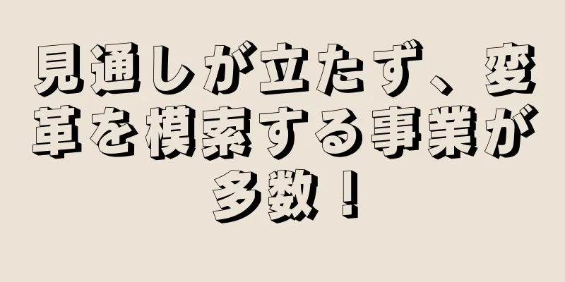 見通しが立たず、変革を模索する事業が多数！