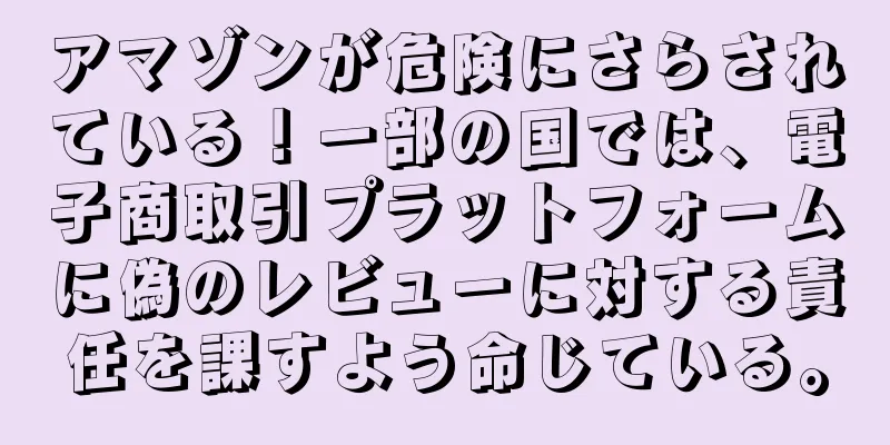 アマゾンが危険にさらされている！一部の国では、電子商取引プラットフォームに偽のレビューに対する責任を課すよう命じている。