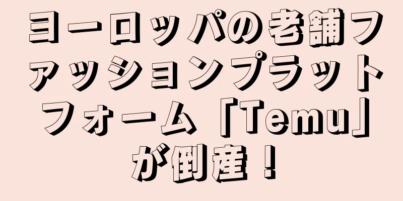 ヨーロッパの老舗ファッションプラットフォーム「Temu」が倒産！