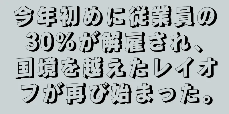 今年初めに従業員の30％が解雇され、国境を越えたレイオフが再び始まった。