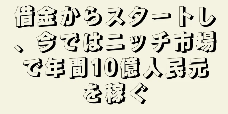 借金からスタートし、今ではニッチ市場で年間10億人民元を稼ぐ