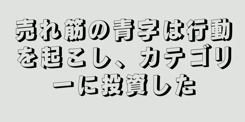 売れ筋の青字は行動を起こし、カテゴリーに投資した