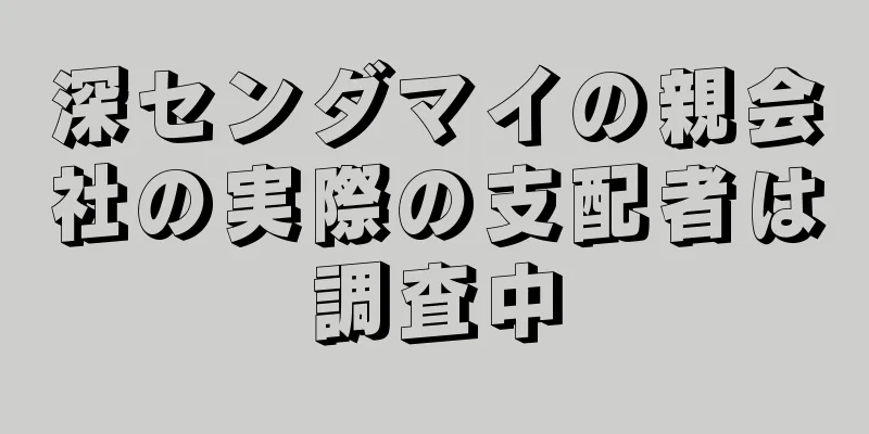 深センダマイの親会社の実際の支配者は調査中