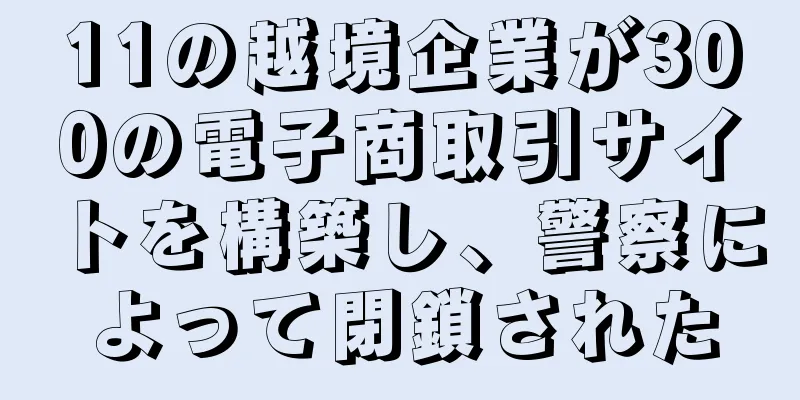 11の越境企業が300の電子商取引サイトを構築し、警察によって閉鎖された