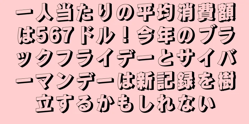 一人当たりの平均消費額は567ドル！今年のブラックフライデーとサイバーマンデーは新記録を樹立するかもしれない