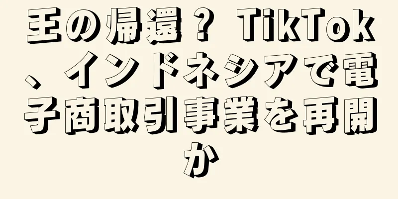 王の帰還？ TikTok、インドネシアで電子商取引事業を再開か