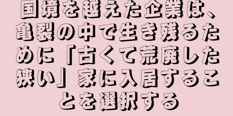 国境を越えた企業は、亀裂の中で生き残るために「古くて荒廃した狭い」家に入居することを選択する