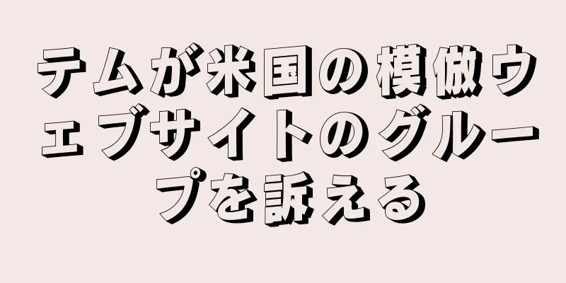 テムが米国の模倣ウェブサイトのグループを訴える