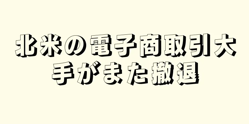 北米の電子商取引大手がまた撤退