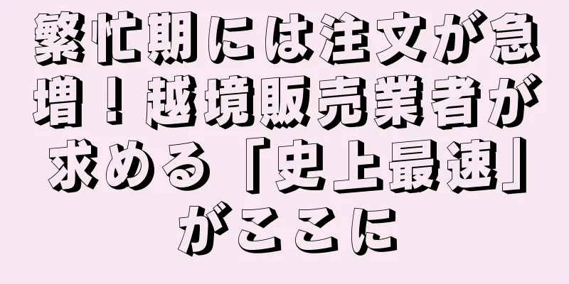 繁忙期には注文が急増！越境販売業者が求める「史上最速」がここに