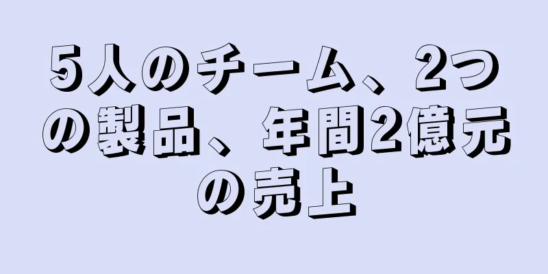 5人のチーム、2つの製品、年間2億元の売上