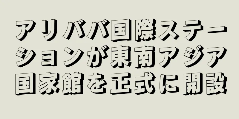 アリババ国際ステーションが東南アジア国家館を正式に開設