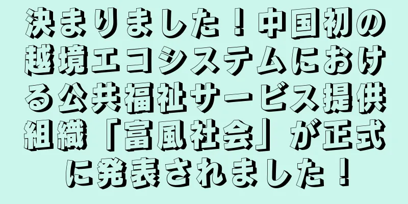 決まりました！中国初の越境エコシステムにおける公共福祉サービス提供組織「富風社会」が正式に発表されました！
