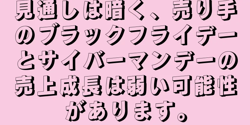 見通しは暗く、売り手のブラックフライデーとサイバーマンデーの売上成長は弱い可能性があります。