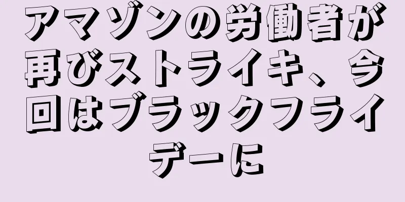 アマゾンの労働者が再びストライキ、今回はブラックフライデーに