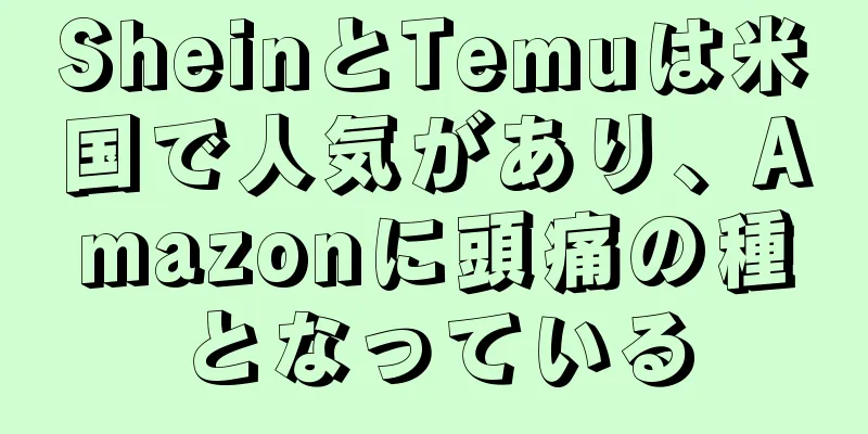 SheinとTemuは米国で人気があり、Amazonに頭痛の種となっている