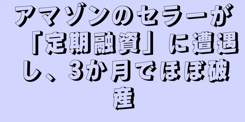 アマゾンのセラーが「定期融資」に遭遇し、3か月でほぼ破産