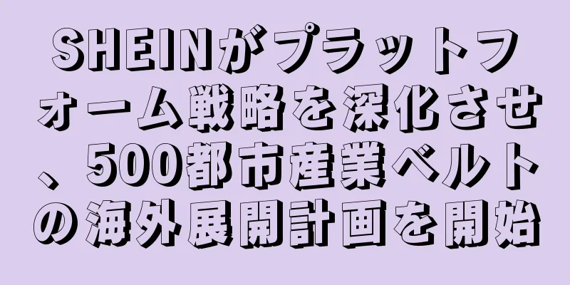 SHEINがプラットフォーム戦略を深化させ、500都市産業ベルトの海外展開計画を開始
