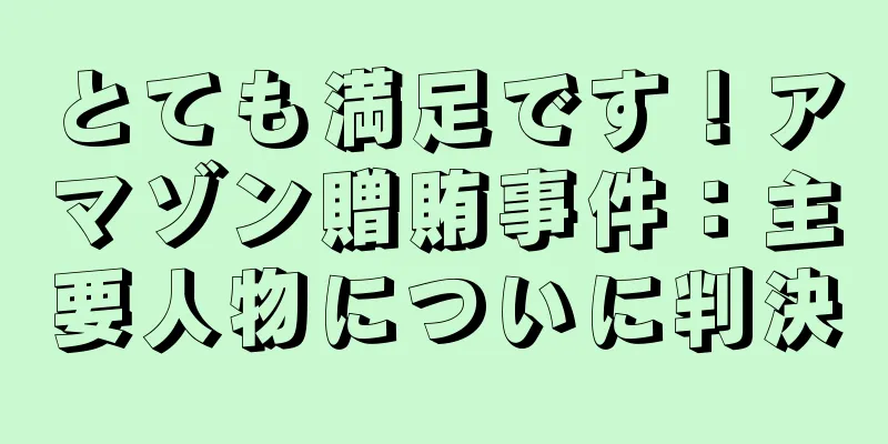 とても満足です！アマゾン贈賄事件：主要人物についに判決