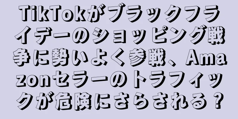TikTokがブラックフライデーのショッピング戦争に勢いよく参戦、Amazonセラーのトラフィックが危険にさらされる？