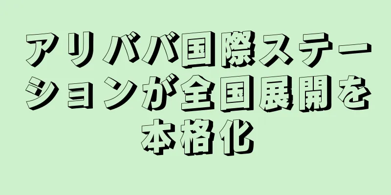 アリババ国際ステーションが全国展開を本格化